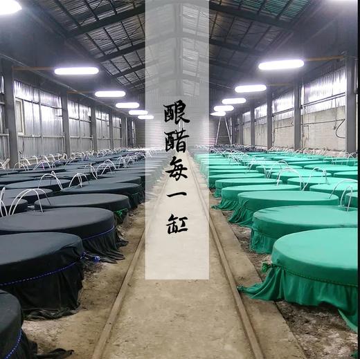 全食物日记 台湾·子宫好女人就好 酿美铺宫巢宝酵素饮 古法酿造综合果蔬酵素醋精华告别姨妈综合症 100ml*10瓶/盒 商品图2