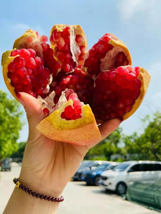 【突尼斯软籽石榴】9颗礼盒装 单果约400-500g颗 每一粒石榴都非常饱满，色泽均衡，粉嫩透亮的石榴粒像一颗颗红宝石 商品图9