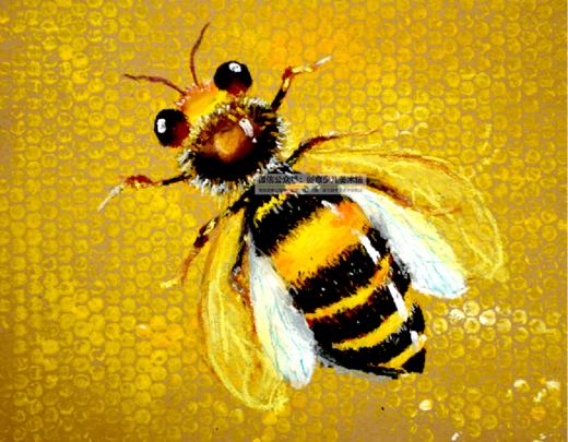 9-11岁创意蜡笔写生《大自然的建筑师“蜜蜂”》【自动发货：下单后，点击手机短信中收到的链接，即可获取文件下载的链接；如有任何问题，可添加客服微信hm33268获得帮助】 商品图0