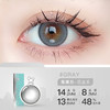 HolyNara 集美灰日抛美瞳(10片装/盒) 商品缩略图0