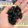 切糕王子新疆特级桑葚干  精选无沙桑葚  轻松养生 守护肌肤元气 商品缩略图2