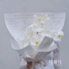 《蝴蝶飞飞》 高级感白色蝴蝶兰花束 商品缩略图4