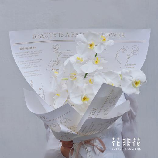 《蝴蝶飞飞》 高级感白色蝴蝶兰花束 商品图4