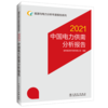 能源与电力分析年度报告系列 2021 中国电力供需分析报告 商品缩略图1
