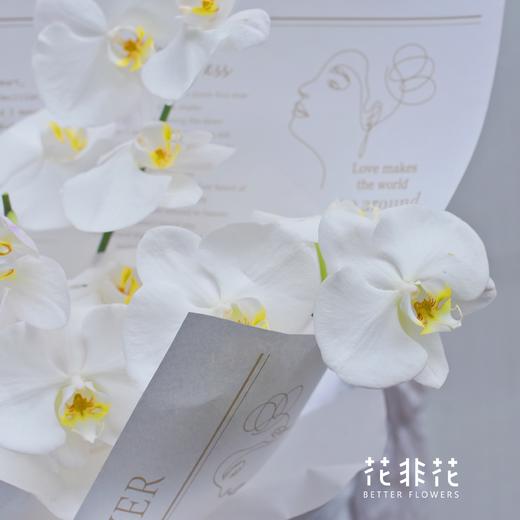 《蝴蝶飞飞》 高级感白色蝴蝶兰花束 商品图6
