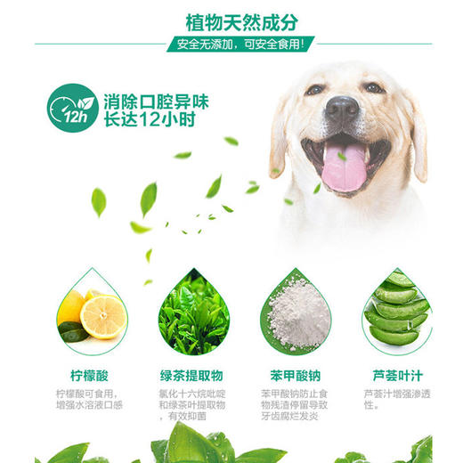 多美洁 犬用洁齿水 118ml/瓶 预防口腔疾病 商品图2
