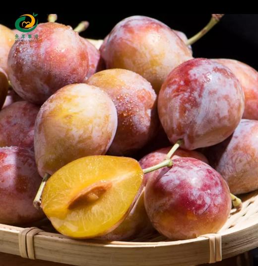 法兰西 西梅4斤礼盒 商品图2