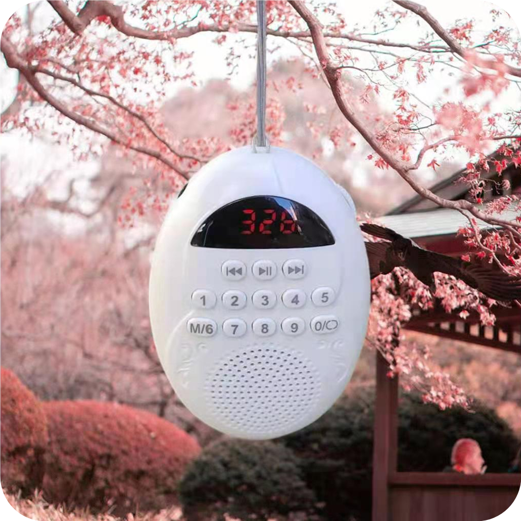 归圆音频播放器