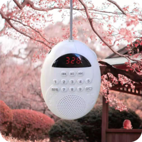 归圆音频播放器