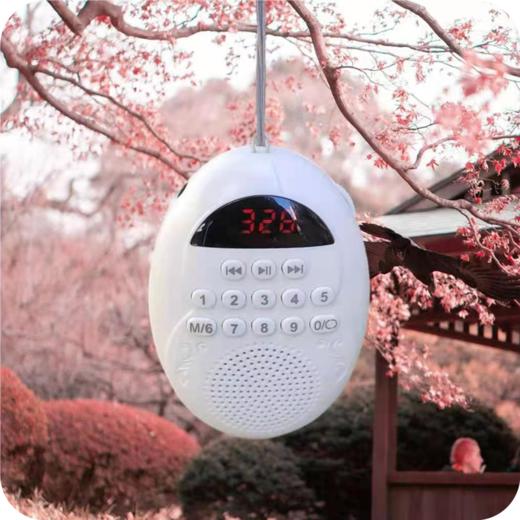 归圆音频播放器 商品图0