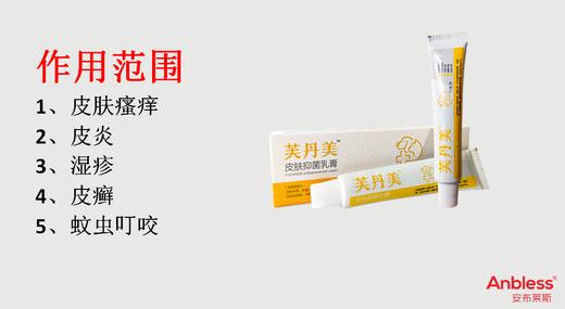 安布莱斯-芙丹美15g，2026年10月11号。  皮肤外用、抑菌止痒；针对金黄色葡萄球菌，大肠杆菌、白色念珠菌、绿脓杆菌引起的皮肤问题；也可用于蚊虫叮咬。含有三氯羟基二苯醚，麝香草酚 商品图1