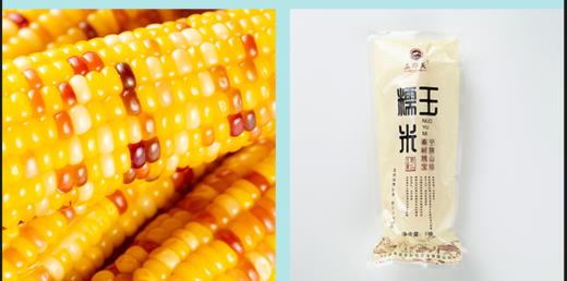 馆长推荐 | 宁陕鲜食甜糯玉米五彩玉米 商品图2