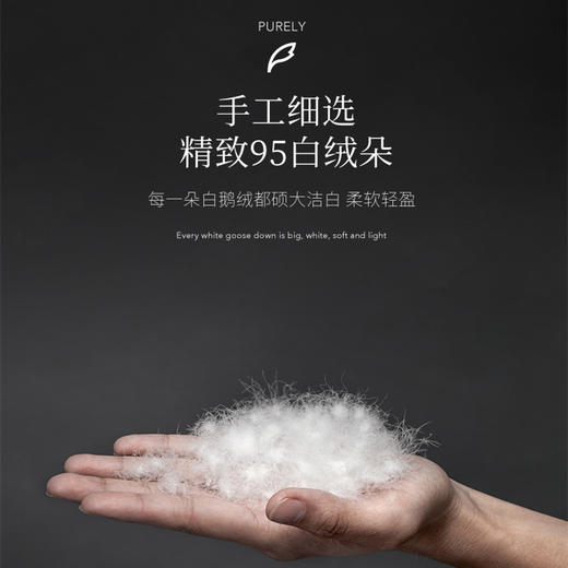 Downland Hotel Home鹅绒鹅毛复合枕[福利品 商品图2