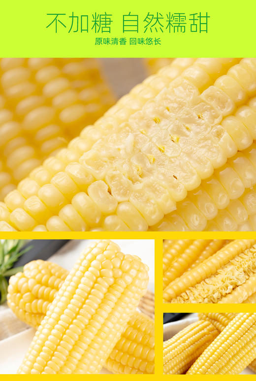 馆长推荐 | 宁陕鲜食甜糯玉米五彩玉米 商品图4