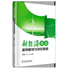 新能源项目案例解读与风控指南