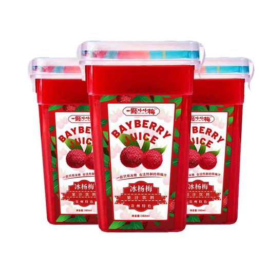 贵阳特产冰镇杨梅汁360ml*2罐 一颗小小梅【周六到货】 商品图0