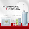 素士W1樱花香氛冲牙器洗牙神器家用便捷式牙齿冲洗口腔清洁水牙线 商品缩略图0