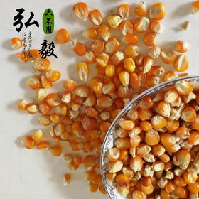 【弘毅六不用生态农场】六不用 小金黄 老玉米粒