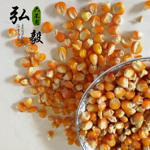 【弘毅六不用生态农场】六不用 小金黄 老玉米粒 商品图0