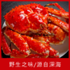 【海鲜】鲜活帝王蟹 （约4斤/只） 商品缩略图1