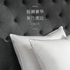 Downland Hotel Home鹅绒鹅毛复合枕[福利品 商品缩略图3