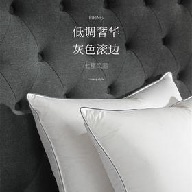 预售| Downland Hotel Home鹅绒鹅毛复合枕[福利品]