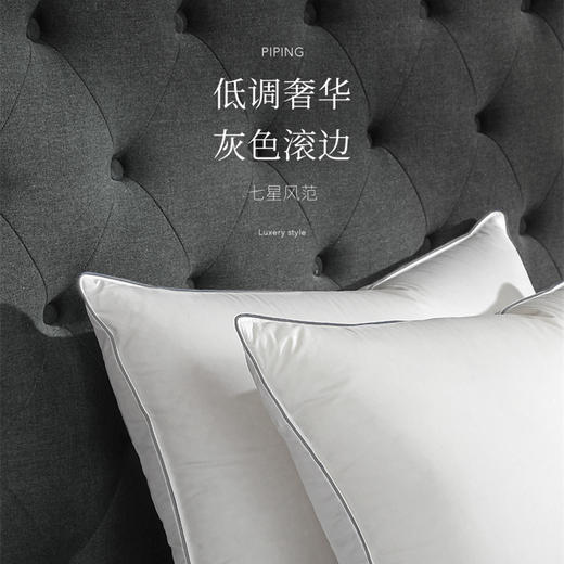 Downland Hotel Home鹅绒鹅毛复合枕[福利品 商品图3