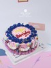 ins手绘蛋糕1 商品缩略图1