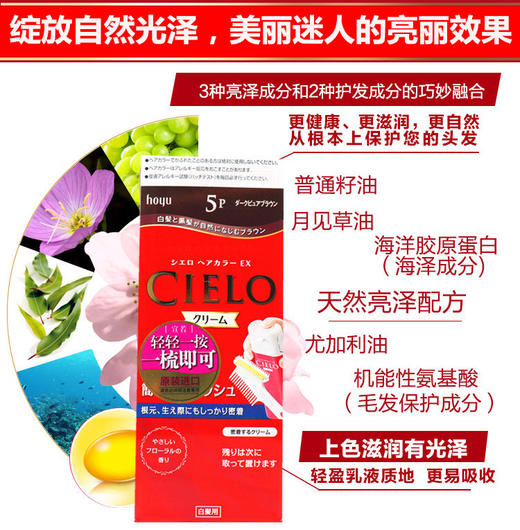 日本进口美源 宣若染发霜5P (深纯棕色) 商品图1