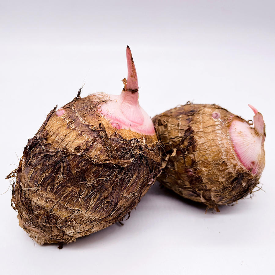 『广西红芽芋头』芋香粉糯 皮薄易剥