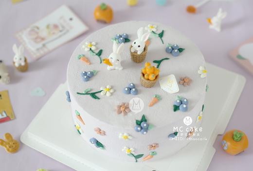 ins小兔子（玩具） 商品图0