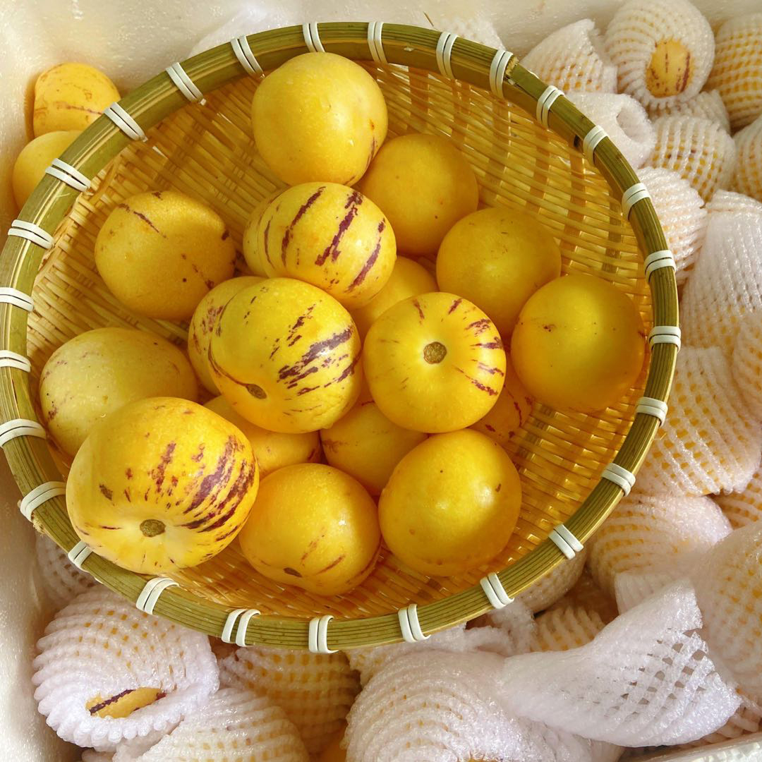 蚂蚁兄弟云南石林树上熟人参果 脆爽多汁