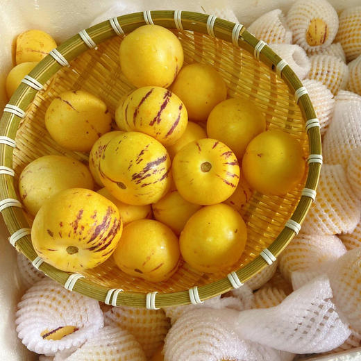 蚂蚁兄弟云南石林树上熟人参果 脆爽多汁 商品图0