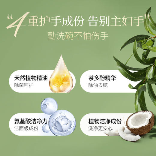 3瓶PlantSaver植伴A类茶多氛强去污洗洁精450ml 商品图2