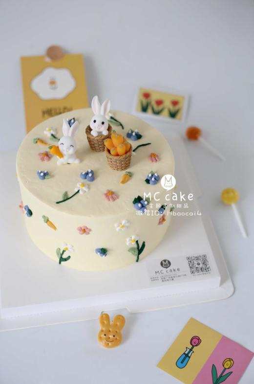 ins风小兔子 商品图0