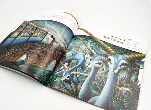 儿童全科启蒙绘本（全6册）6-12岁 丰富的语文元素+强调主题+强化语言感知 商品图7