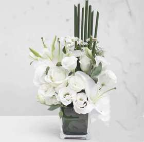 签到花|《山语赋》