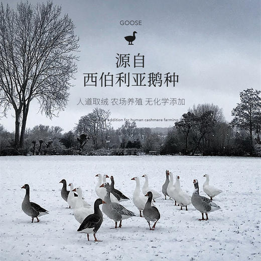 Downland Hotel Home鹅绒鹅毛复合枕[福利品 商品图1