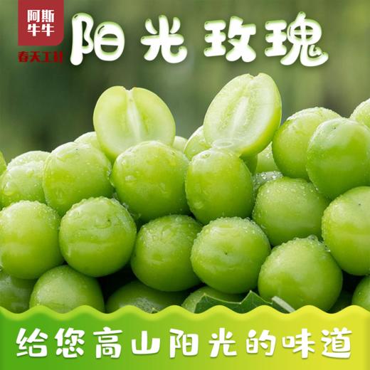 品质精选阳光玫瑰香印晴王3斤装包邮