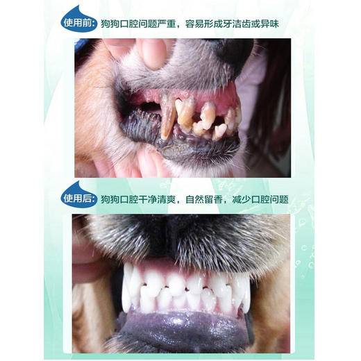 多美洁 犬用洁齿水 118ml/瓶 预防口腔疾病 商品图1