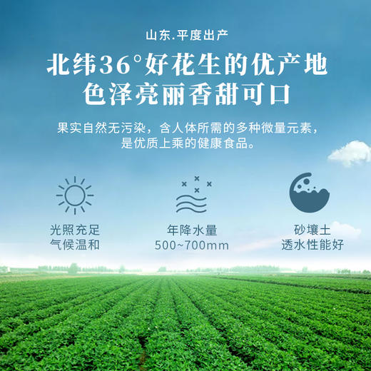 寻养生活芥末花生150g/罐*6罐 商品图2