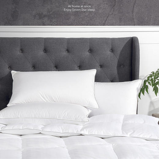Downland Hotel Home鹅绒鹅毛复合枕[福利品 商品图4