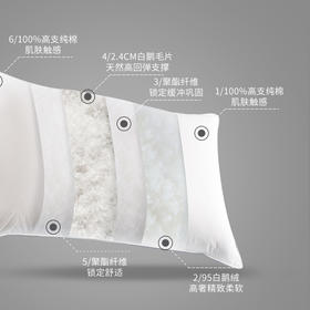 Downland Hotel Home鹅绒鹅毛复合枕[福利品