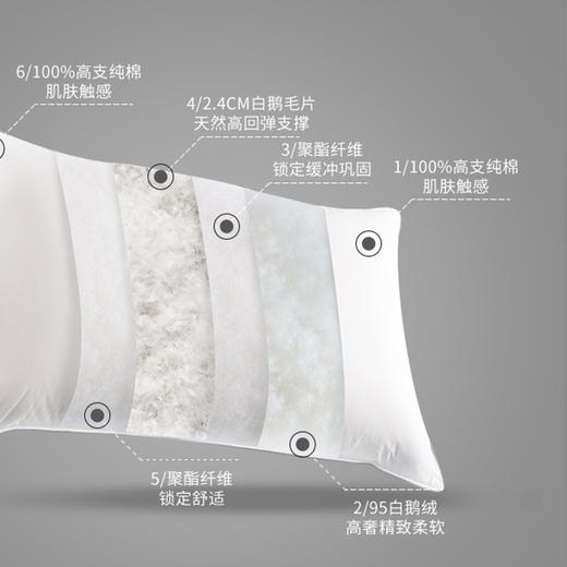 Downland Hotel Home鹅绒鹅毛复合枕[福利品 商品图0