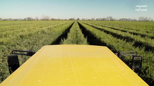 hbfq-虚拟 商品图0