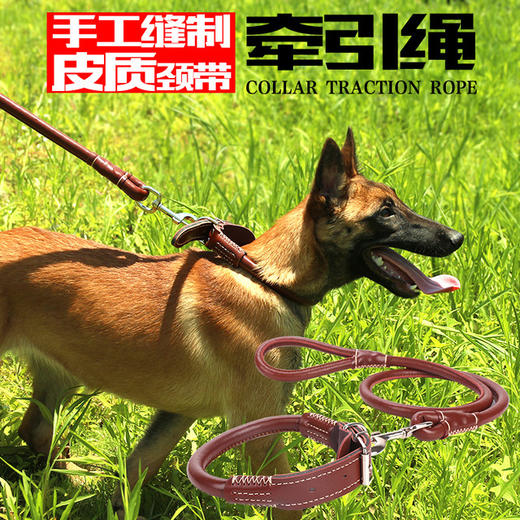 【狗牵引绳 】皮质 大中小型犬耐颈带牵引绳两件套 商品图3