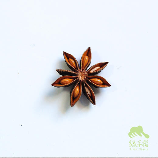 野生八角 | 合作生产* Wild-Star anise | Coproducted 商品图4