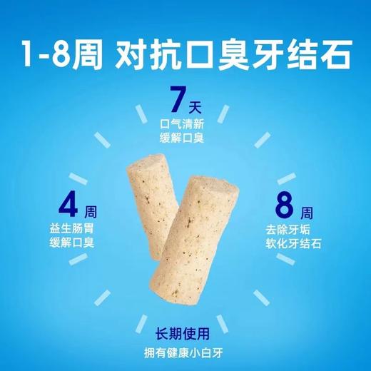 小壳小白牙冻干猫咪零食猫咪用品鸡肉洁齿棒营养增肥除口臭 商品图1