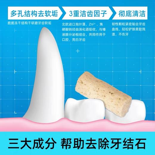 小壳小白牙冻干猫咪零食猫咪用品鸡肉洁齿棒营养增肥除口臭 商品图2