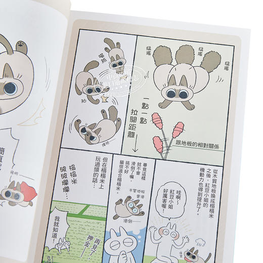 【中商原版】漫画 世界，还是绕着猫打转 Nobeko 台版漫画书 角川 商品图3